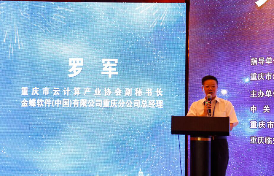 重庆市委员会副主任居琰在“大数据时代下的‘互联网+‘高峰论坛”上致辞